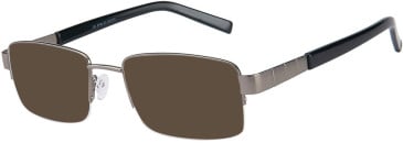 SFE-11529 sunglasses in Gunmetal