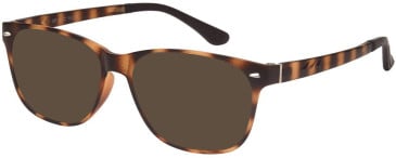 SFE-11522 sunglasses in Tortoiseshell