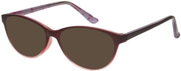 SFE-11521 sunglasses in Wine/Clear