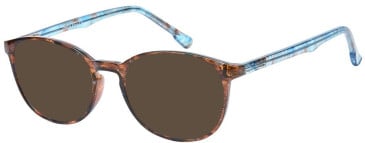 SFE-11518 sunglasses in Tortoiseshell