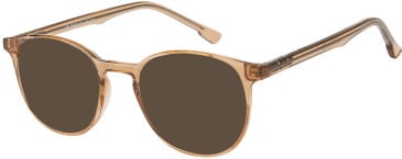 SFE-11499 sunglasses in Clear/Gold