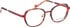 Bellinger CICULA-2 glasses in Red/Brown