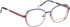 Bellinger CICULA-2 glasses in Purple/Blue