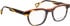 Bellinger DAGGER glasses in Brown/Orange