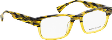 Bellinger HORNET glasses in Yellow/Black