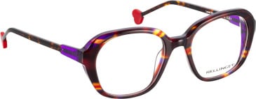 Bellinger LOVE-VIBES glasses in Brown/Red