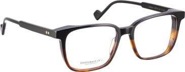 Entourage Of 7 CASSIUS glasses in Black/Brown