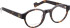 Entourage Of 7 KNOX glasses in Brown/Brown