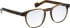 Entourage Of 7 BAXTER glasses in Brown/Brown
