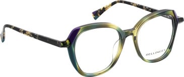 Bellinger ANGLE glasses in Green/Green