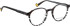 Bellinger BLACKBURN glasses in Black/Grey