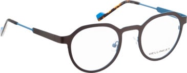 Bellinger BLAZE glasses in Brown/Blue