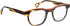 Bellinger DAGGER glasses in Brown/Orange
