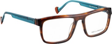 Bellinger STARLING glasses in Brown/Blue