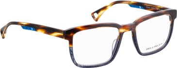 Bellinger VENOM glasses in Brown/Blue