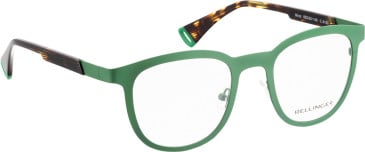 Bellinger WARP glasses in Green/Tortoise