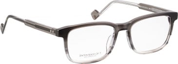 Entourage Of 7 DANTE glasses in Grey/Clear Grey