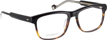 Entourage Of 7 GAVIN glasses in Black/Brown
