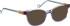 Bellinger SURROUND-4 sunglasses in Blue/Brown