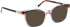 Bellinger SURROUND-4 sunglasses in Purple/Blue