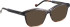 Entourage Of 7 ARABELLA sunglasses in Grey/Brown