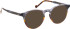 Entourage Of 7 ARLO sunglasses in Grey/Brown
