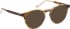 Entourage Of 7 ARLO sunglasses in Brown/Brown