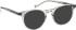 Entourage Of 7 ARLO sunglasses in Clear Grey Other