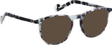 Entourage Of 7 BECKETT sunglasses in Black/Grey
