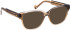 Entourage Of 7 BRIDGET sunglasses in Grey/Pink