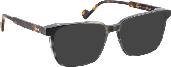 Entourage Of 7 CASSIUS sunglasses in Grey/Brown