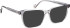 Entourage Of 7 CASSIUS sunglasses in Crystal/Crystal