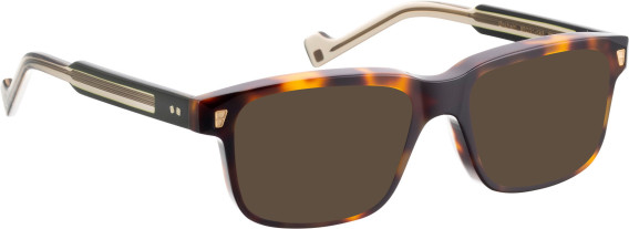 Entourage Of 7 GRAHAM sunglasses in Brown/Brown