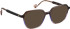 Entourage Of 7 HAZEL sunglasses in Purple/Purple