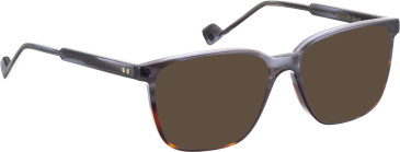 Entourage Of 7 LEON sunglasses in Grey/Brown