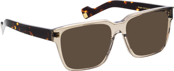 Entourage Of 7 WAYLEN sunglasses in Crystal/Brown