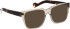 Entourage Of 7 WAYLEN sunglasses in Crystal/Brown