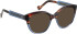 Entourage Of 7 WENDY sunglasses in Brown/Blue