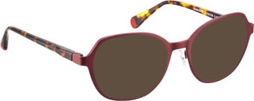Bellinger BOLDLINE-A20 sunglasses in Red/Tortoise