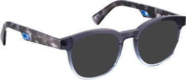 Bellinger JOCKEY sunglasses in Blue/Blue