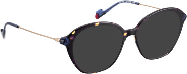 Bellinger LESS-2516 sunglasses in Brown/Brown