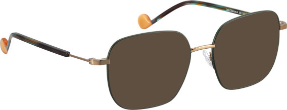 Bellinger LESS-TITANIUM-4 sunglasses in Green/Copper