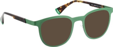 Bellinger WARP sunglasses in Green/Tortoise