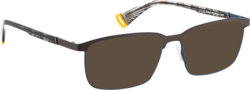 Bellinger ZOOM-2 sunglasses in Brown/Blue