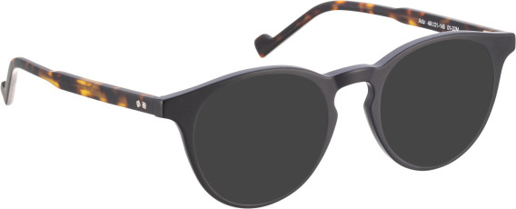 Entourage Of 7 ARLO sunglasses in Black/Brown