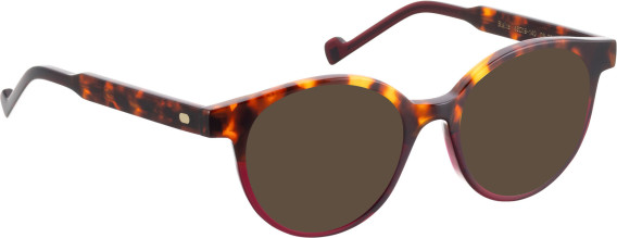 Entourage Of 7 BLAIRE sunglasses in Brown/Red