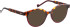 Entourage Of 7 BLAIRE sunglasses in Brown/Red