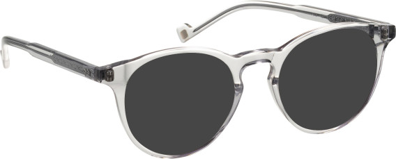 Entourage Of 7 ARLO sunglasses in Clear Grey Other