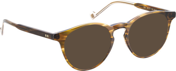 Entourage Of 7 ARLO sunglasses in Brown/Brown