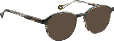 Bellinger BLACKBURN sunglasses in Grey/Green